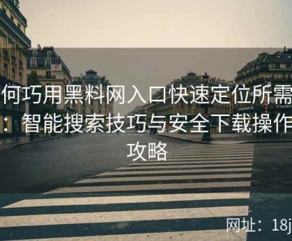 如何巧用黑料网入口快速定位所需资源：智能搜索技巧与安全下载操作全攻略