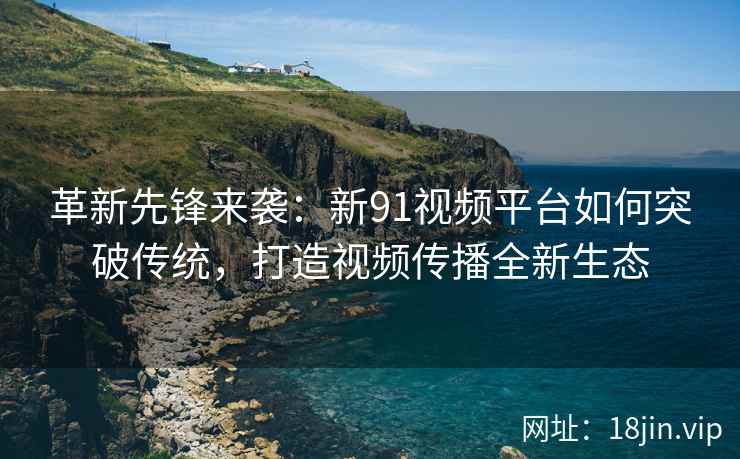 革新先锋来袭：新91视频平台如何突破传统，打造视频传播全新生态