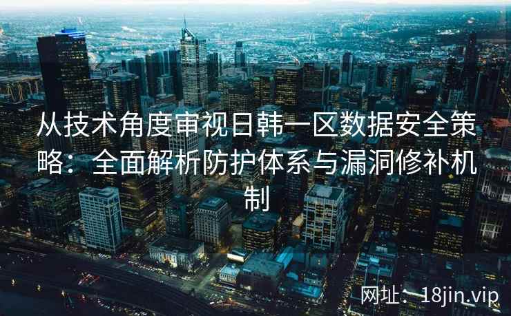 从技术角度审视日韩一区数据安全策略：全面解析防护体系与漏洞修补机制