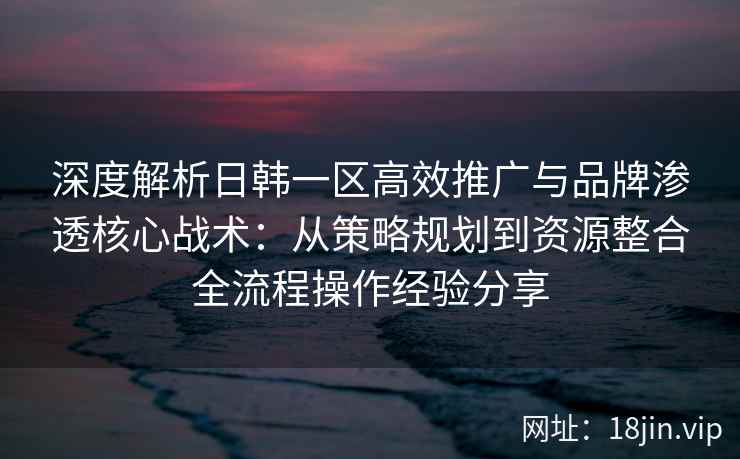 深度解析日韩一区高效推广与品牌渗透核心战术：从策略规划到资源整合全流程操作经验分享