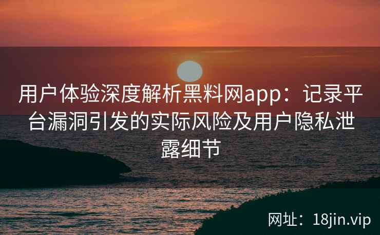 用户体验深度解析黑料网app：记录平台漏洞引发的实际风险及用户隐私泄露细节