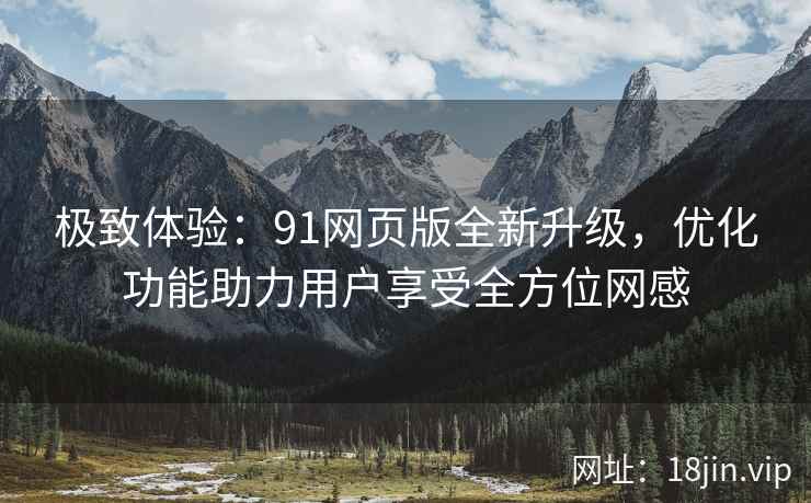 极致体验：91网页版全新升级，优化功能助力用户享受全方位网感