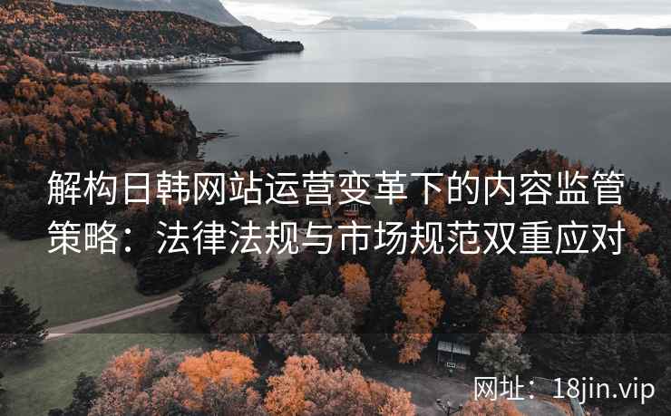 解构日韩网站运营变革下的内容监管策略：法律法规与市场规范双重应对